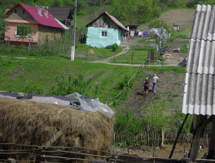 Working in the fields, Bunesti