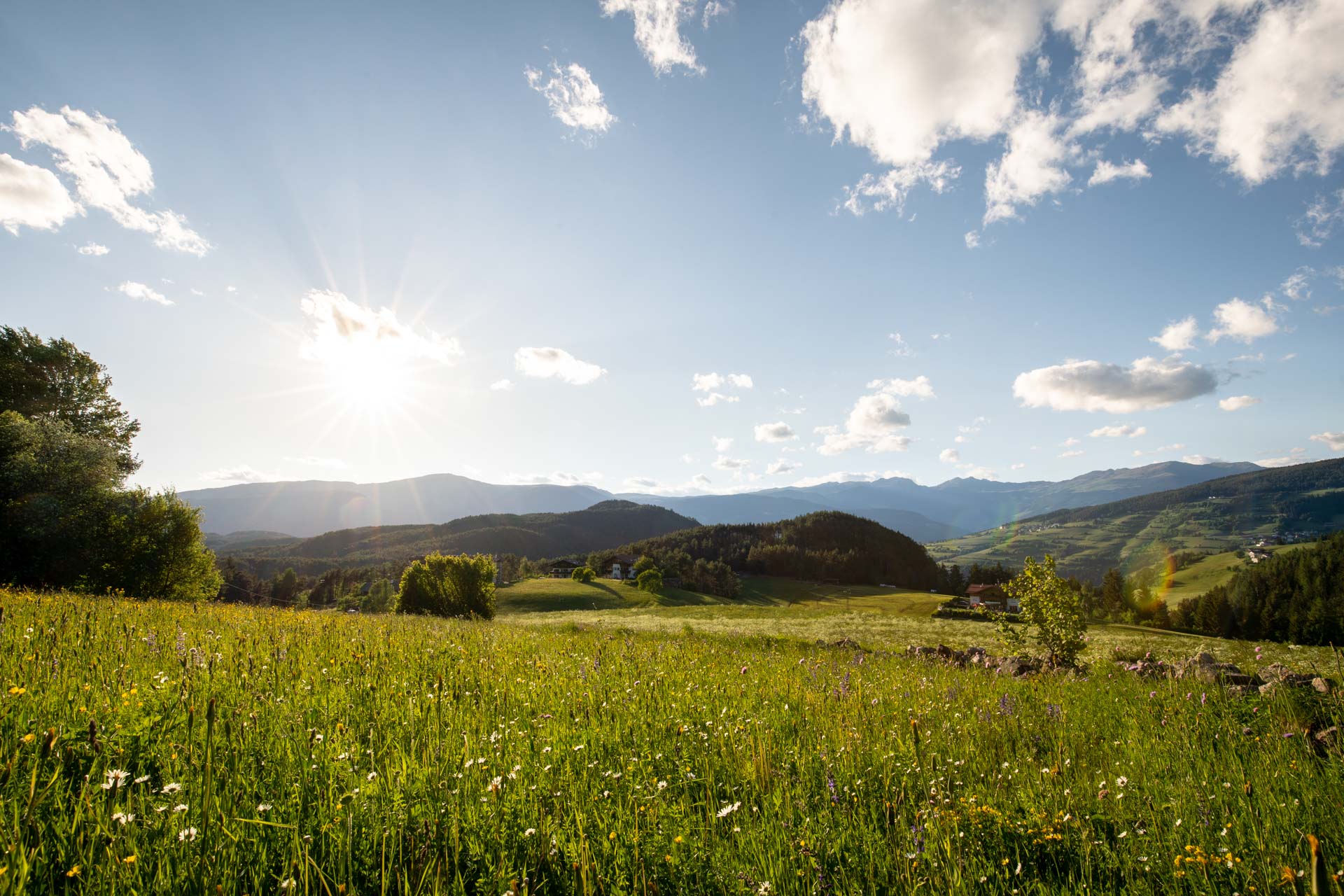 www.aura-chalets.com