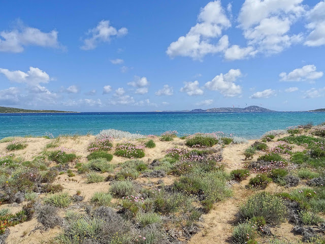 Sardinia in May  Trip Report