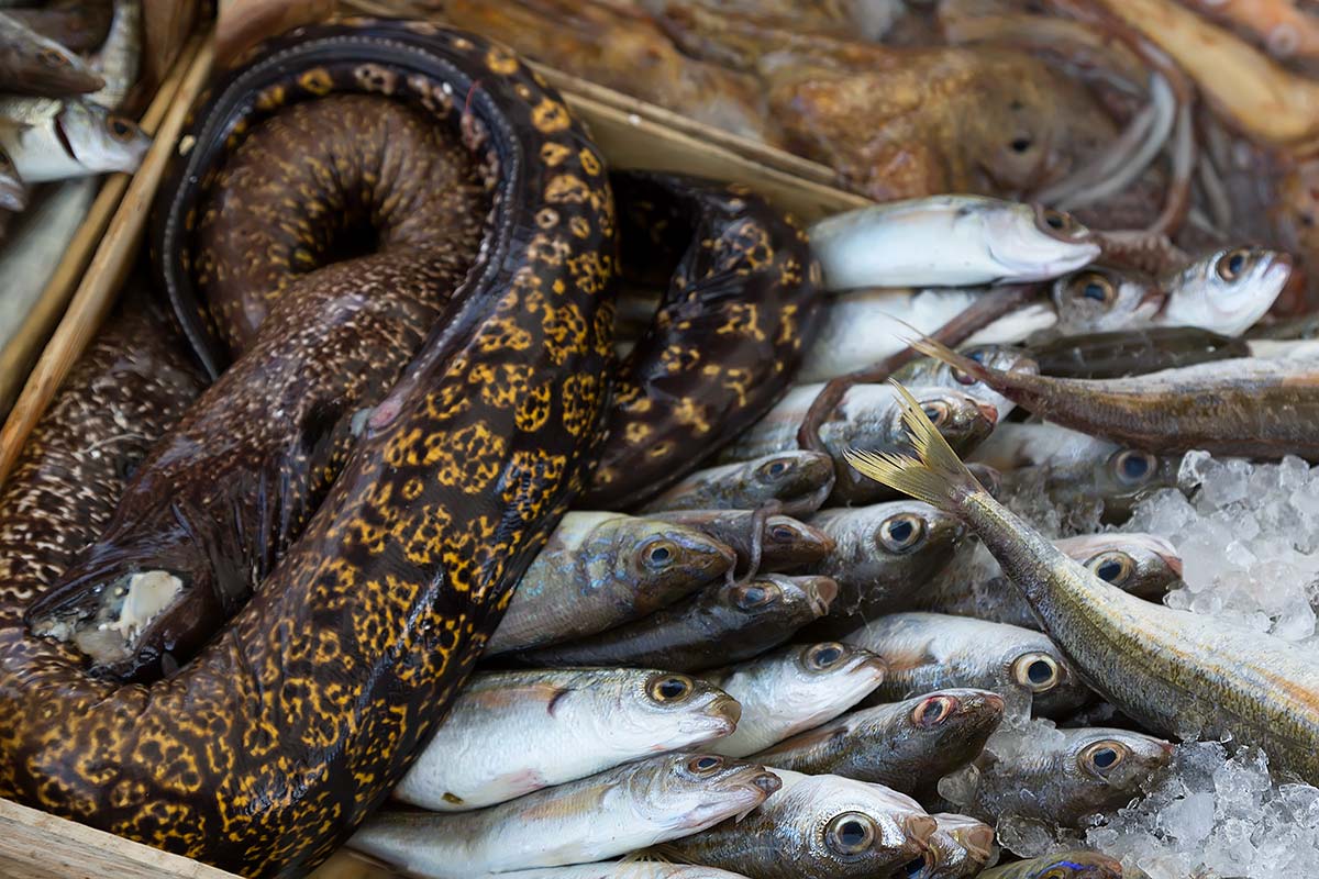 fish-market-trapani-sicily-italy.jpg