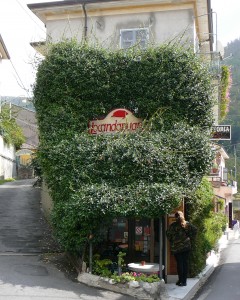 Trattoria Locanda Apuana in Colonnata