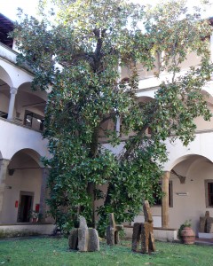 Cloister of the Biblioteca dell'Oblate