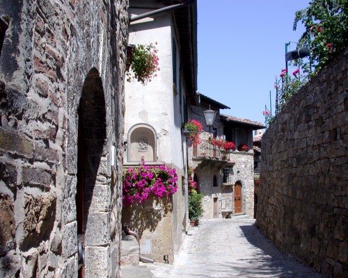 Houses & Cobblestone Street between two Walls