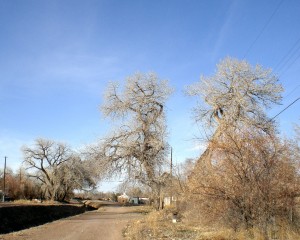 Big Sky Over the Arroyo