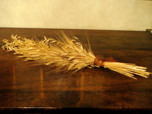 Sheaf of wheat - another symbol of Crusca