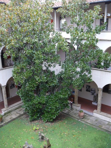 Cloistered calm inside the Oblate Library