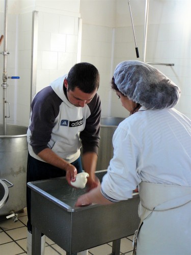 Balls of mozzarella being formed in a warm water bath