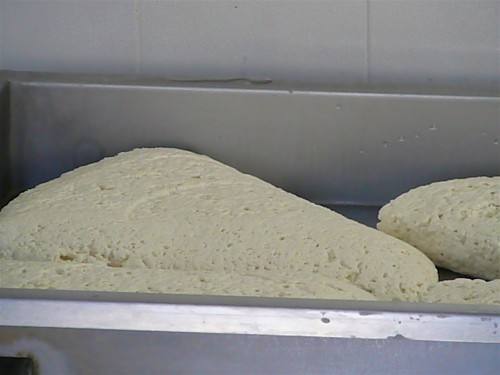 Loaves of cheese from which mozzarella is made