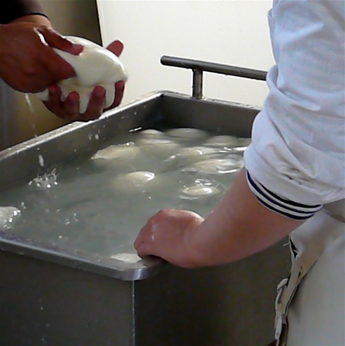 Boconcinni of mozarrella di bufala go into a saline bath