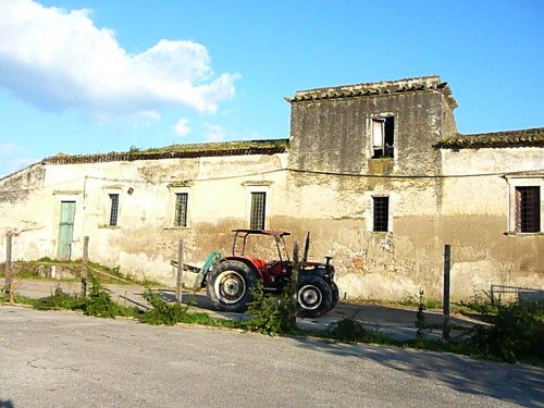 Unlikely spots yield wonderful buffalo mozzarella