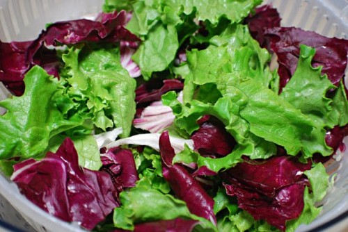 Fresh greens are all a salad needs