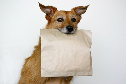 Thanks for the doggy bag!