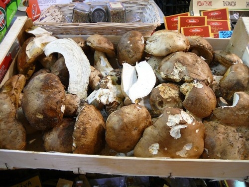 And act of faith to buy porcini without feeling the firmness