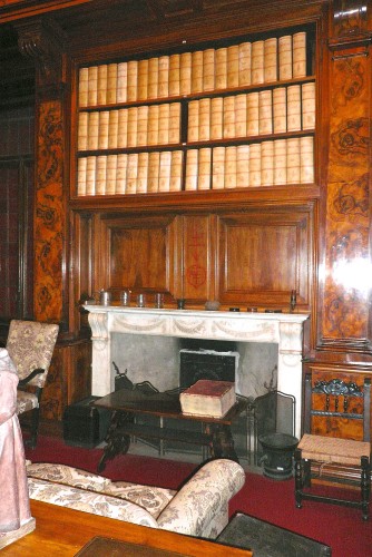 Fireplace in Professor Putti's office 