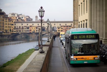 Buses in the Renaissance City