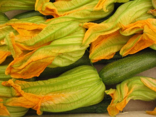 Gorgeous zucchini blossoms (photo gourmasian.com)