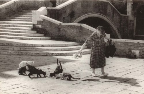 One of the Cat Ladies of Venice (photo from venise-acqua-vite.com)